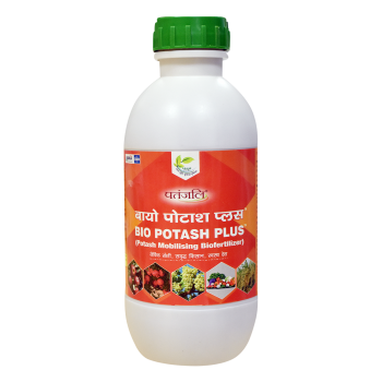 Patanjali Bio Potash Plus