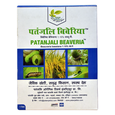 Patanjali Beaveria