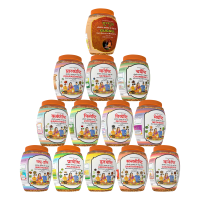 Divya Hawan Samagri Kit (13 Jars) 