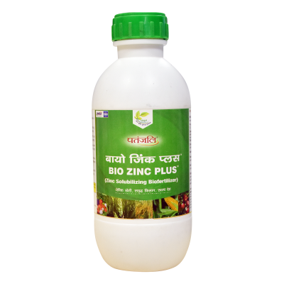 Patanjali Bio Zinc Plus